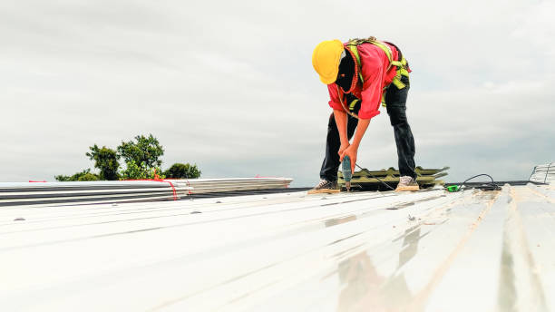 Best Sheet Metal Roofing  in West Portsmouth, OH